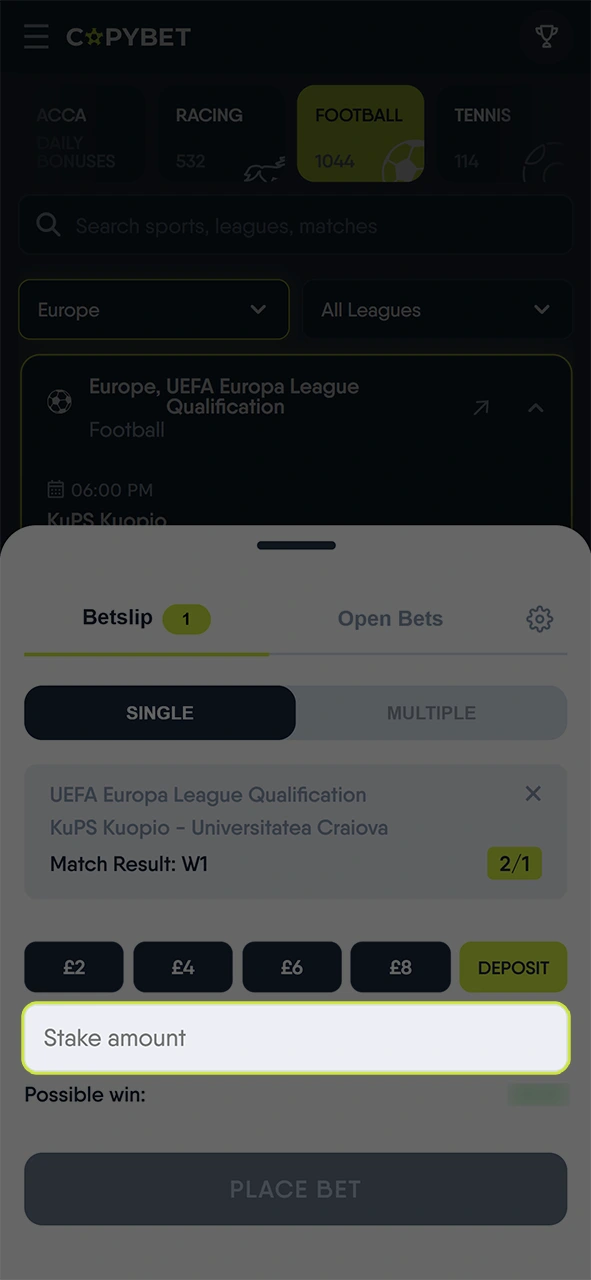 Input your desired wager amount for the bet at Copybet.