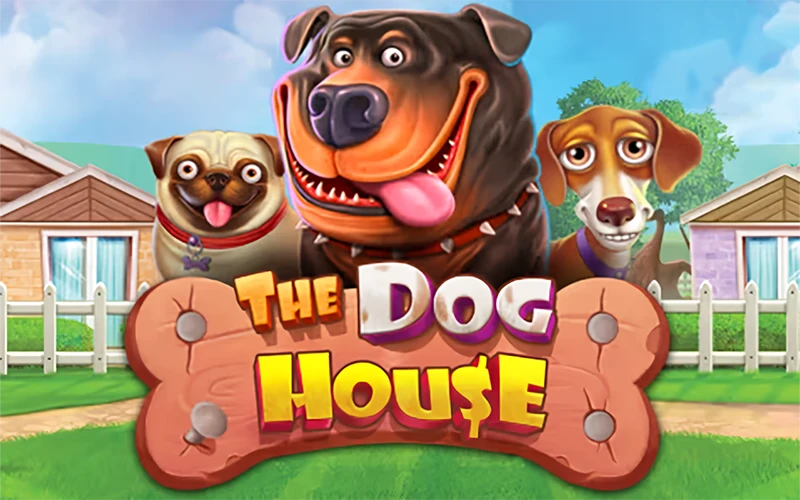 Launch The Dog House slot to score big payouts with Copybet.